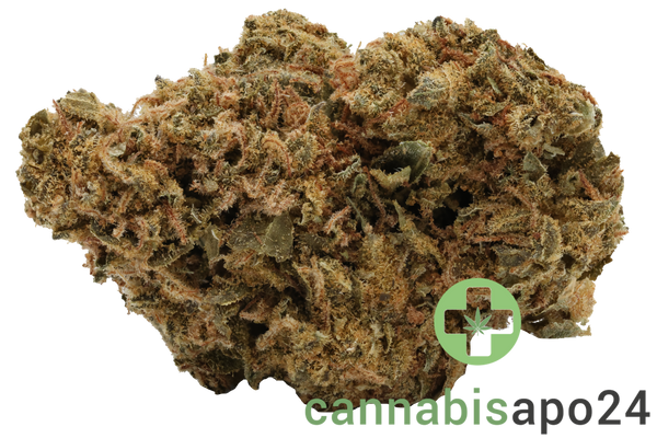 Tilray THC25 Spotlight Montevideo - Purple Dog Bud