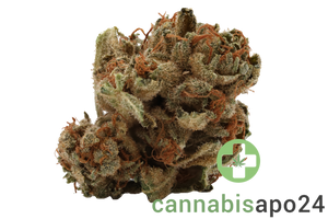 Tilray THC25 Spotlight Porto Pink Kush