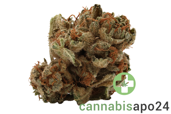 Tilray THC25 Spotlight Porto Pink Kush