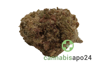 Together Pharma GB 18/1 Glueberry OG