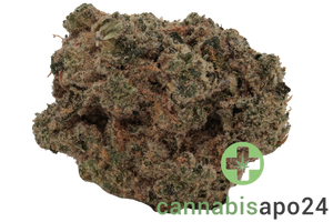 Top Shelf Medical S1E3