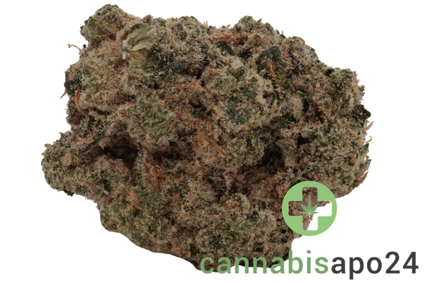 Top Shelf Medical S1E3