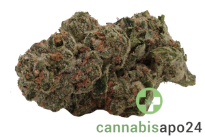 TRUU GT 31:01 Kush Cookies