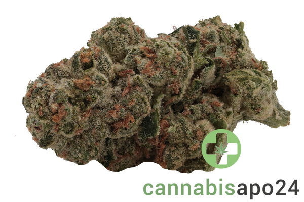 TRUU GT 31:01 Kush Cookies