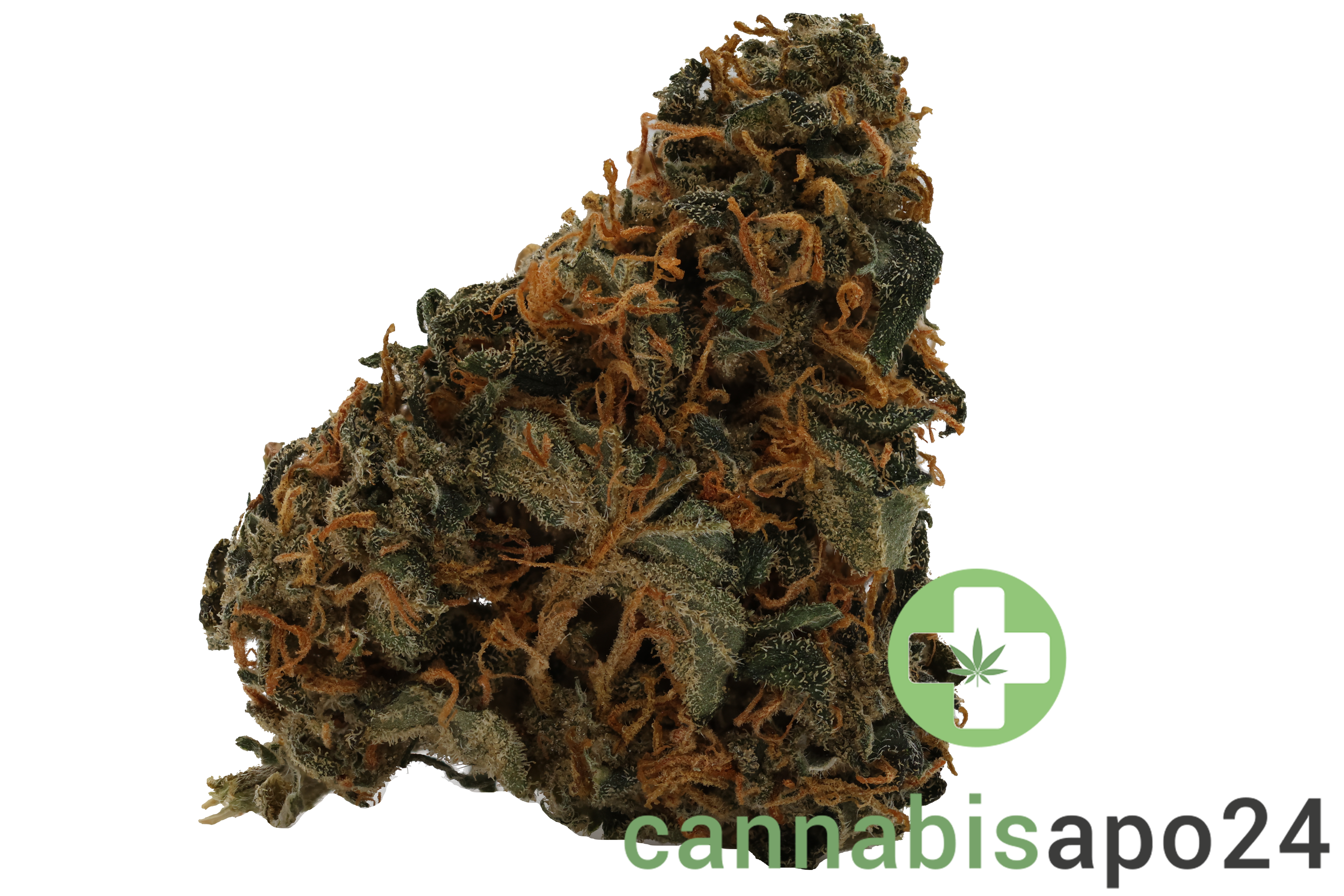 Typ 1 Aphria