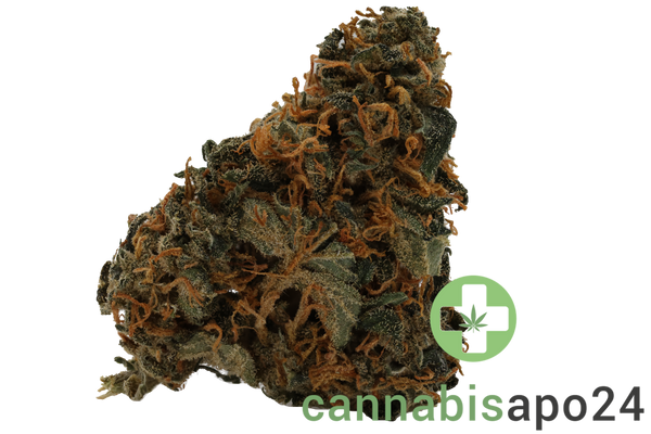 Typ 1 Aphria