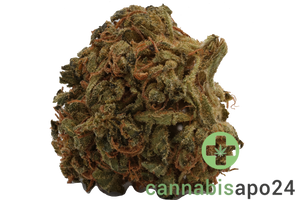 Vayamed 22/1 Cannabis Flos