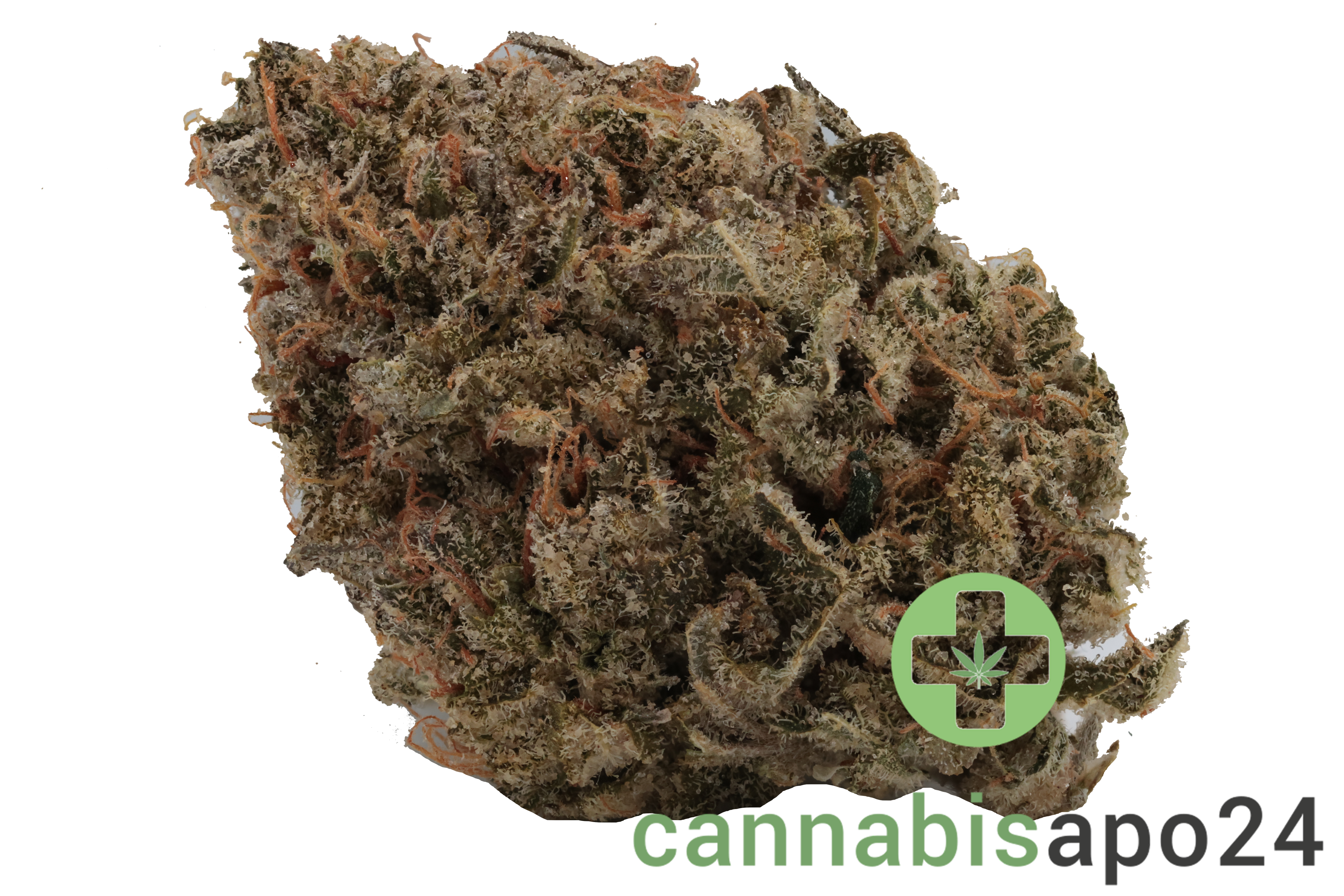 Wellford 23/1 PIK Pink Kush