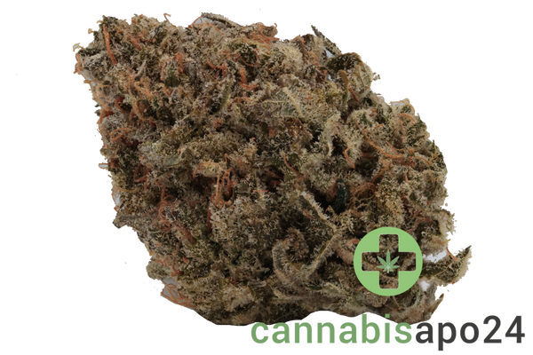 Wellford 23/1 PIK Pink Kush