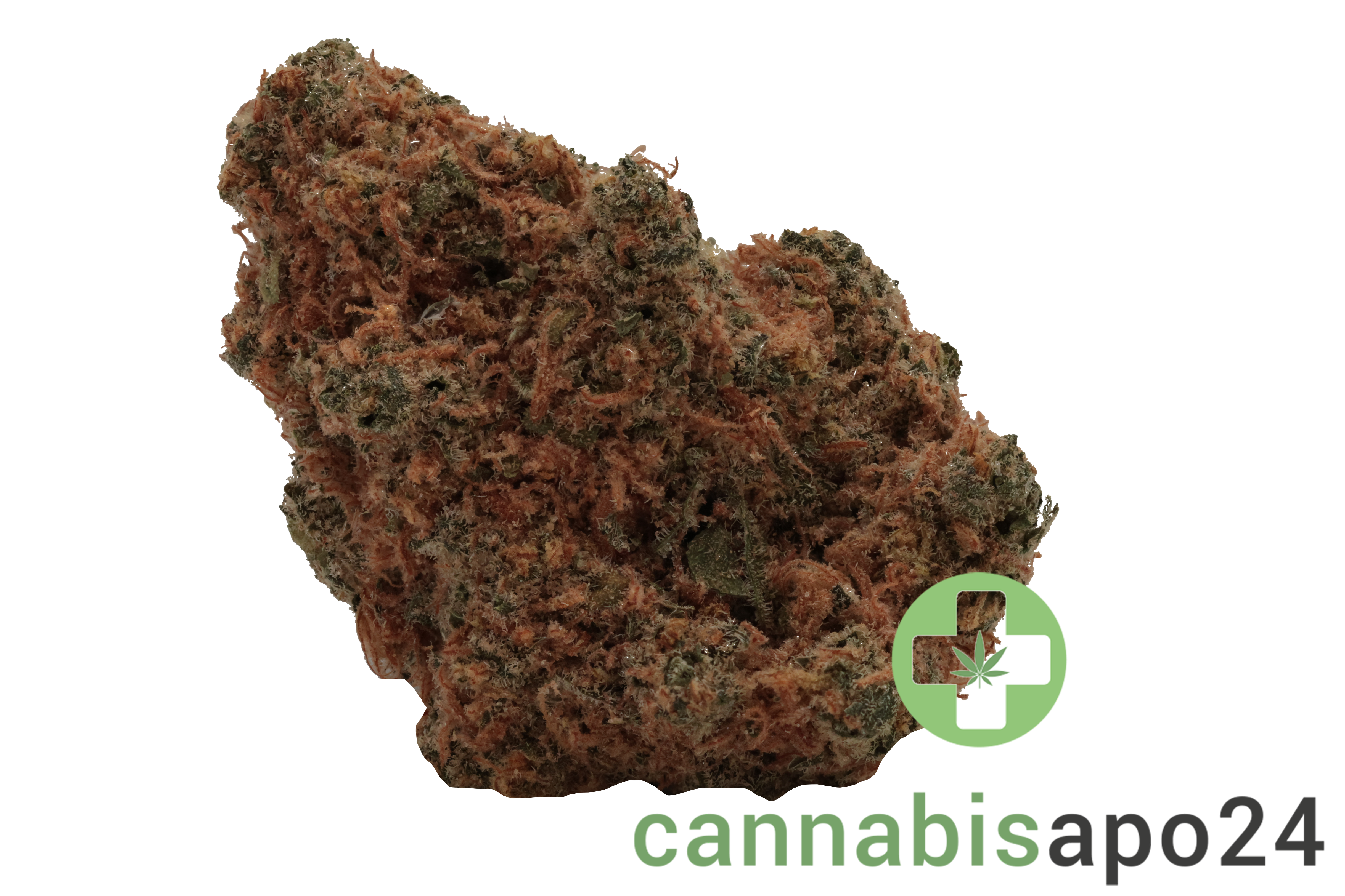 AVAAY 28/1 CK Critical Kush
