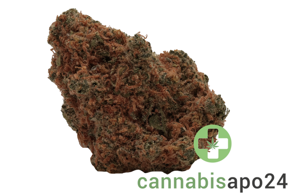 AVAAY 28/1 CK Critical Kush