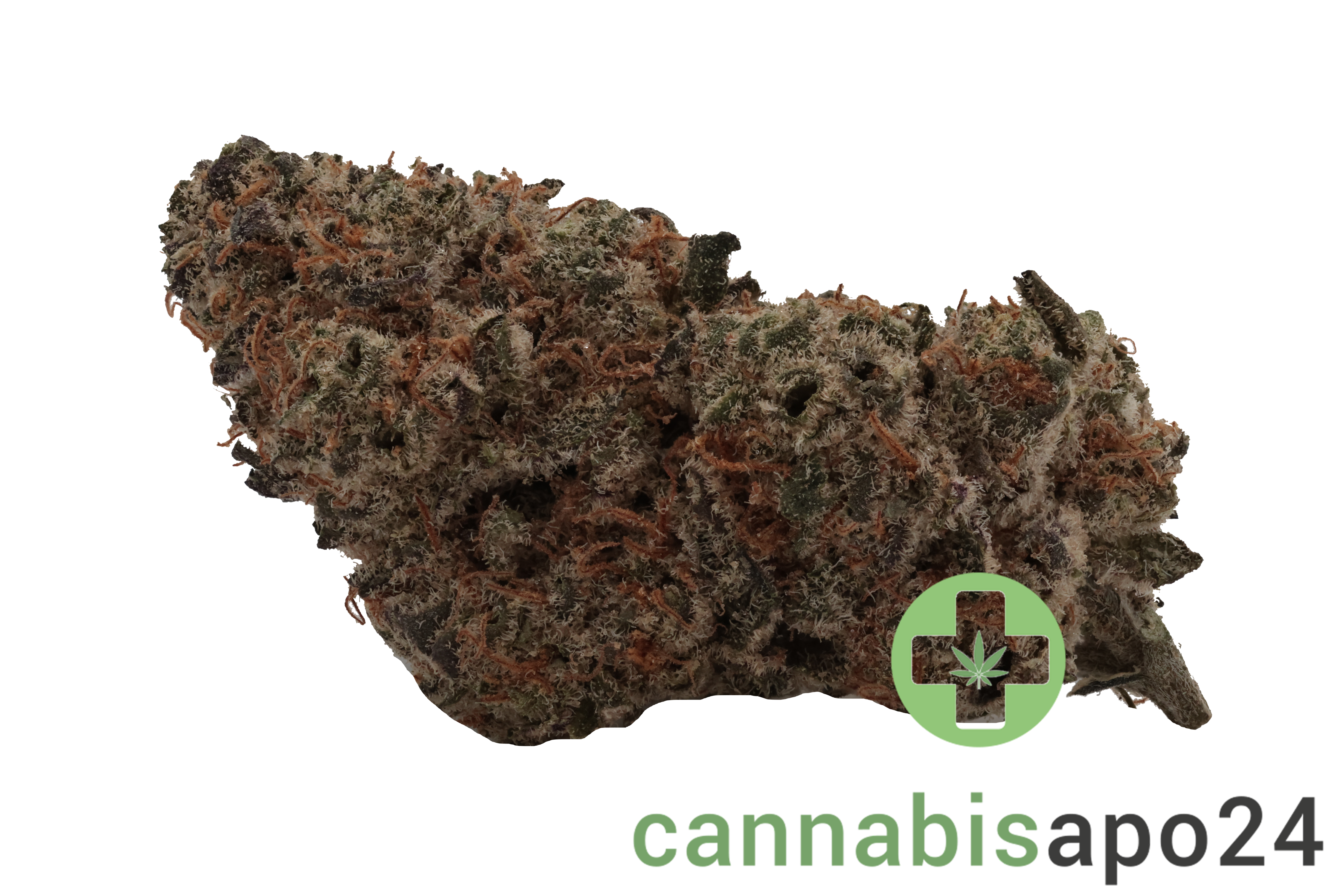 AVAAY Signature 19/1 MC - Mandarin Cookies