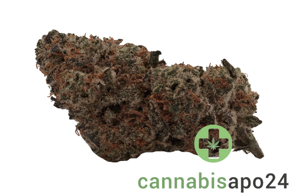 AVAAY Signature 19/1 MC - Mandarin Cookies