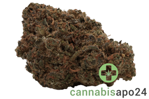 AVAAY 20/1 PNK - Pineapple Nuken