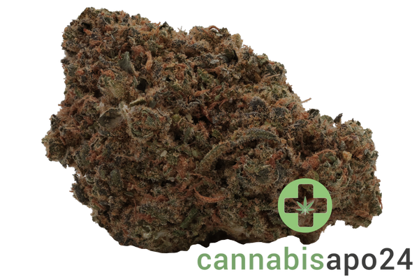 AVAAY 20/1 PNK - Pineapple Nuken