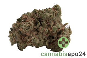 AVAAY Khalifa 28/1 KK Khalifa Kush