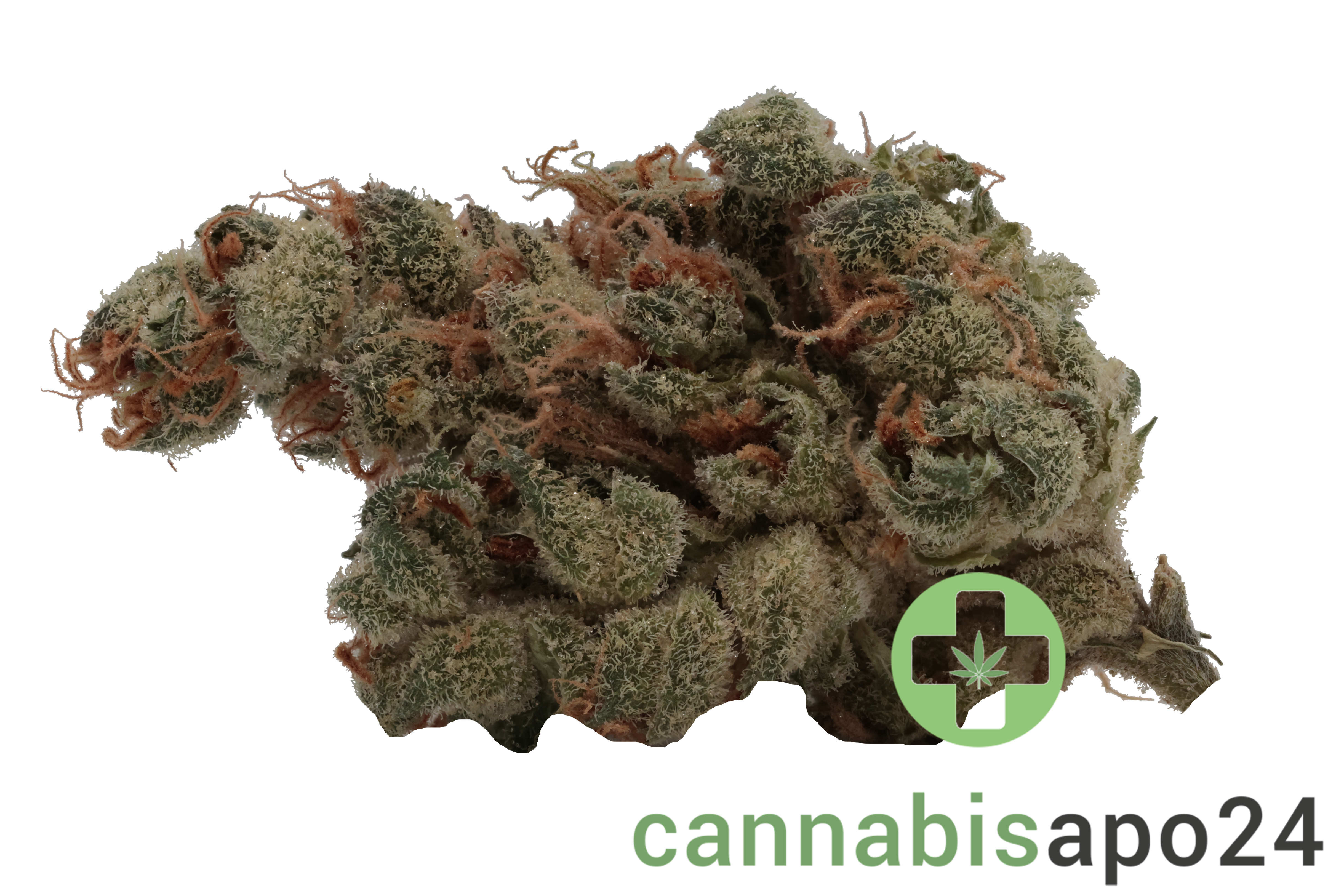 Barrocas 26/1 PMK Premium Mandarine Kush