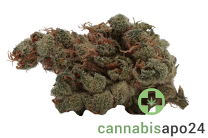 Barrocas 26/1 PMK Premium Mandarine Kush