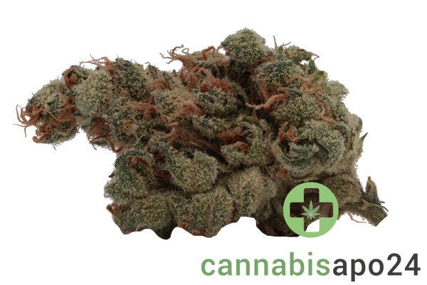 Barrocas 26/1 PMK Premium Mandarine Kush