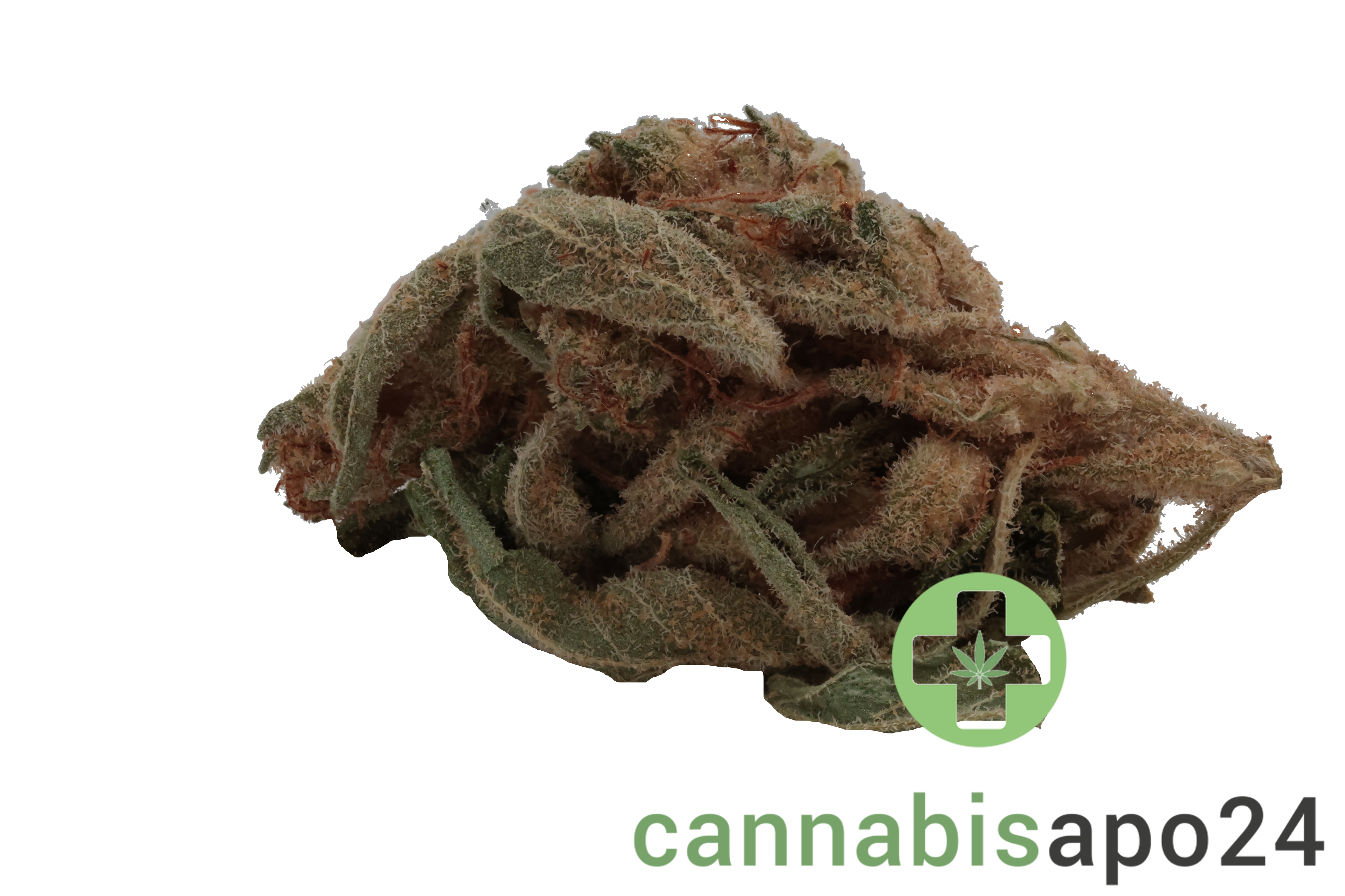 Buuo 26/1 SL Keylime Kush
