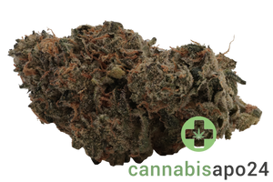Cannabis 25/1 CGD Ku. Ice Cream Cake