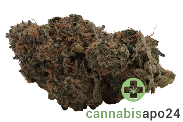 Cannabis 25/1 CGD Ku. Ice Cream Cake