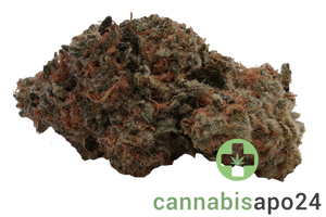 Cannabis 27/1 CGD KU. Blue Slushie