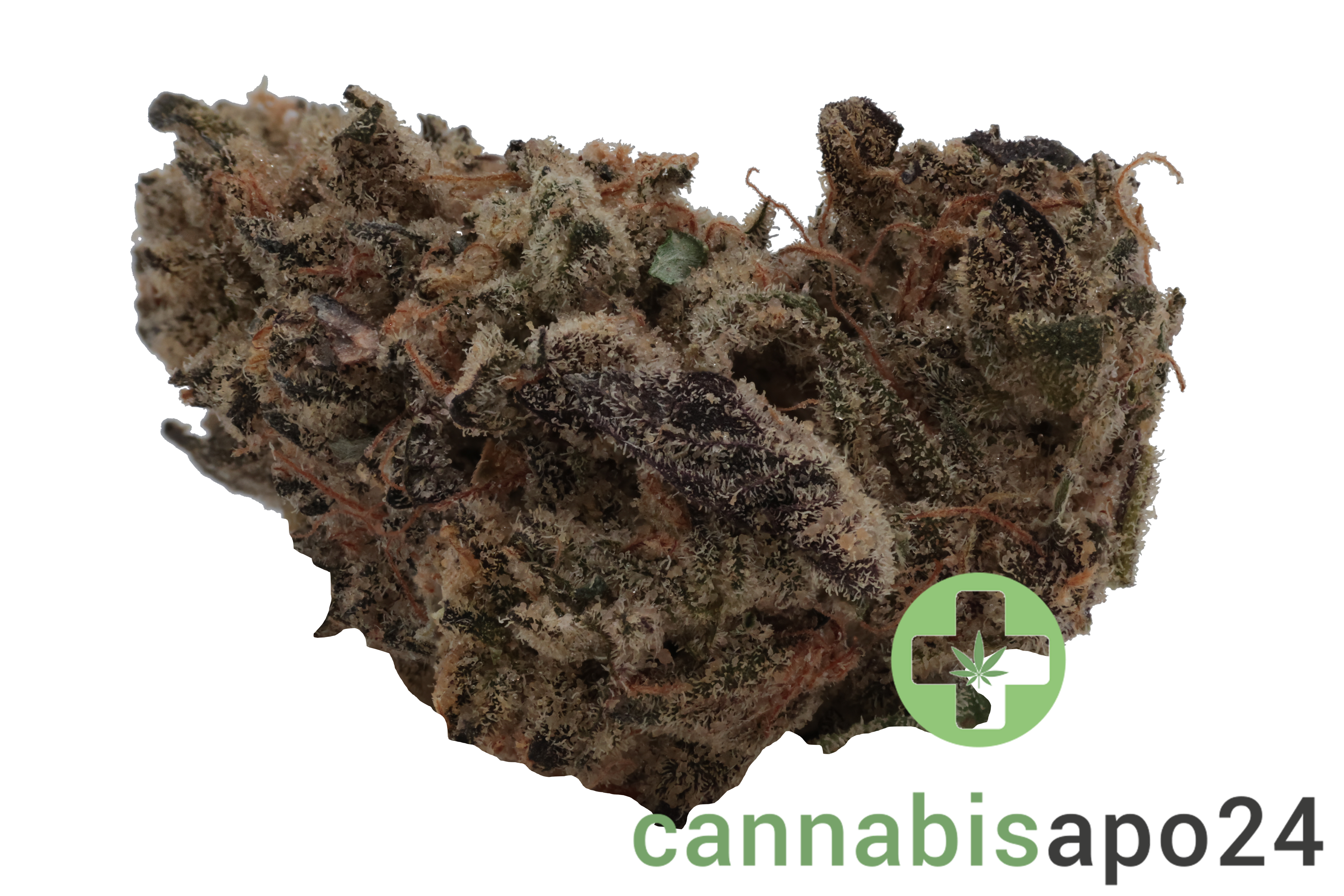 Cannabis 27/1 CGD Ku. Super Squishee