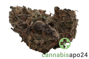 Cannabis 27/1 CGD Ku. Super Squishee