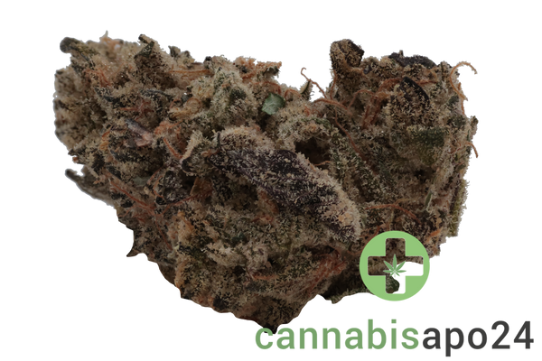 Cannabis 27/1 CGD Ku. Super Squishee