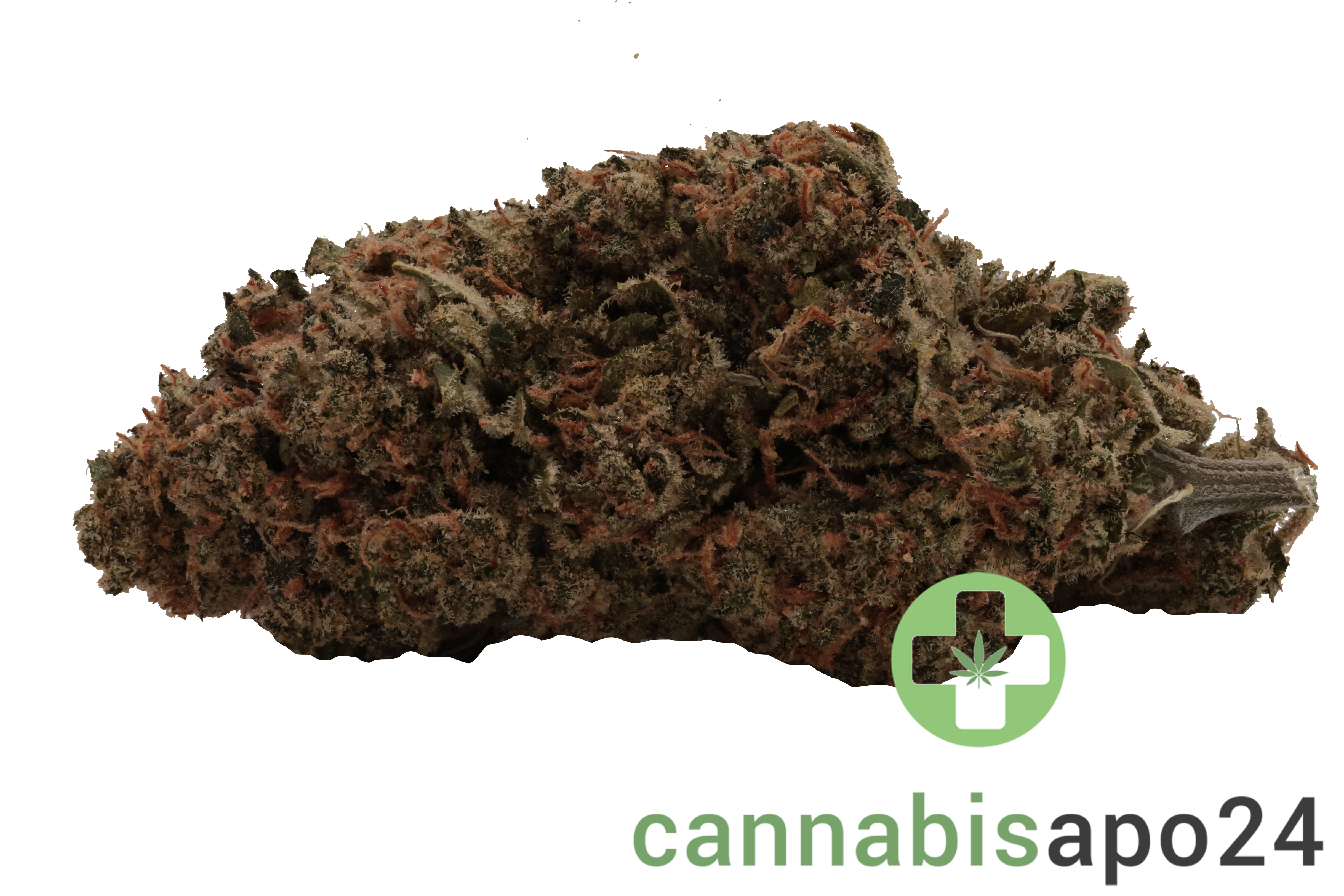 Canify Cannabis flos 27/1 CSF Ku. Carnez Citric