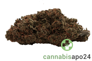 Canify Cannabis flos 27/1 CSF Ku. Carnez Citric