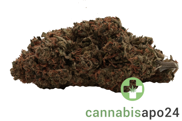 Canify Cannabis flos 27/1 CSF Ku. Carnez Citric