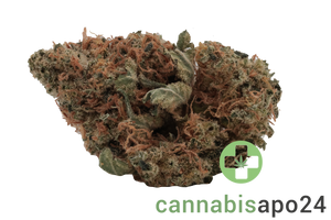 Cannamedical Hybrid classic - Lemon Skunk