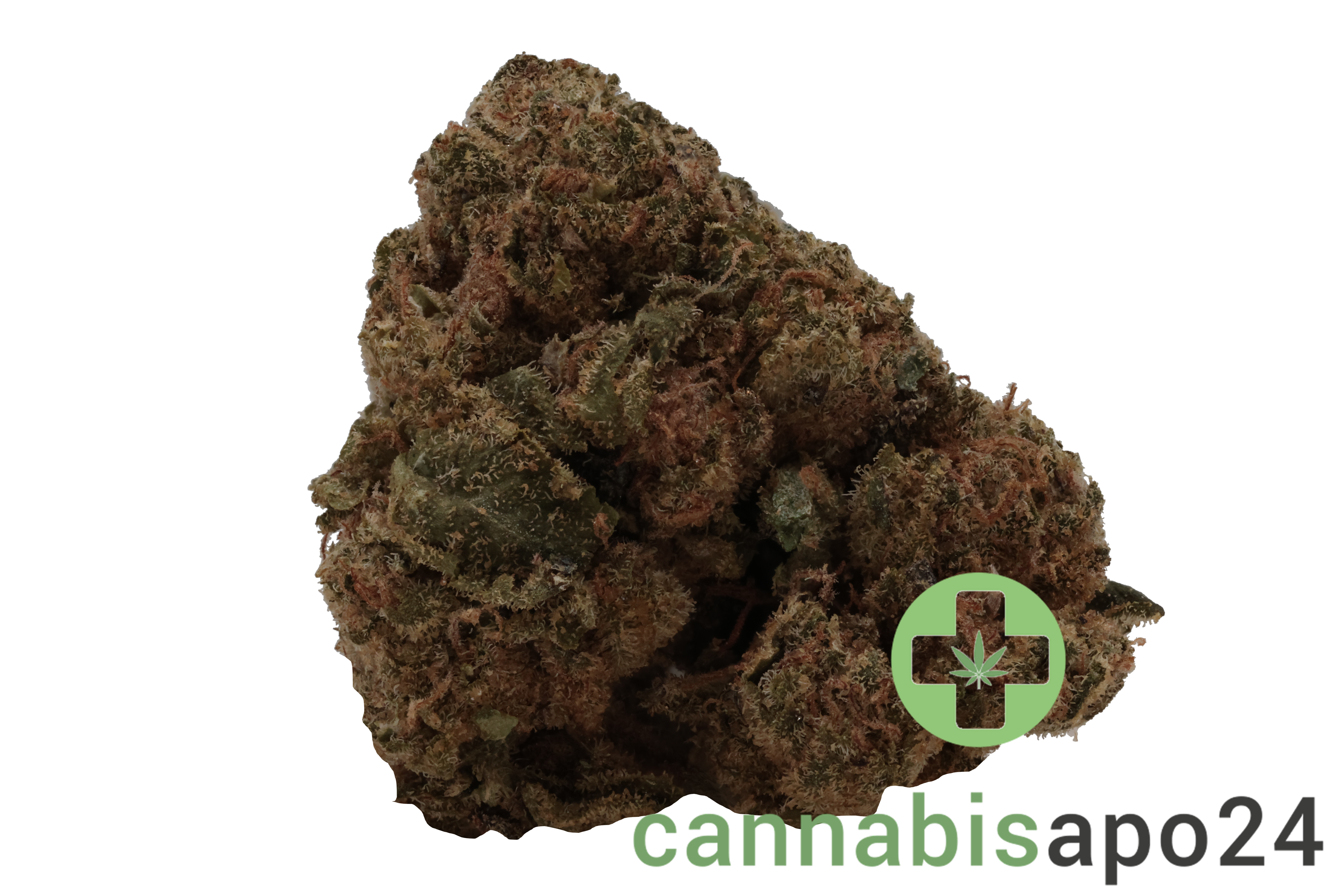 Cannamedical Hybrid forte BC Lemon Cookie