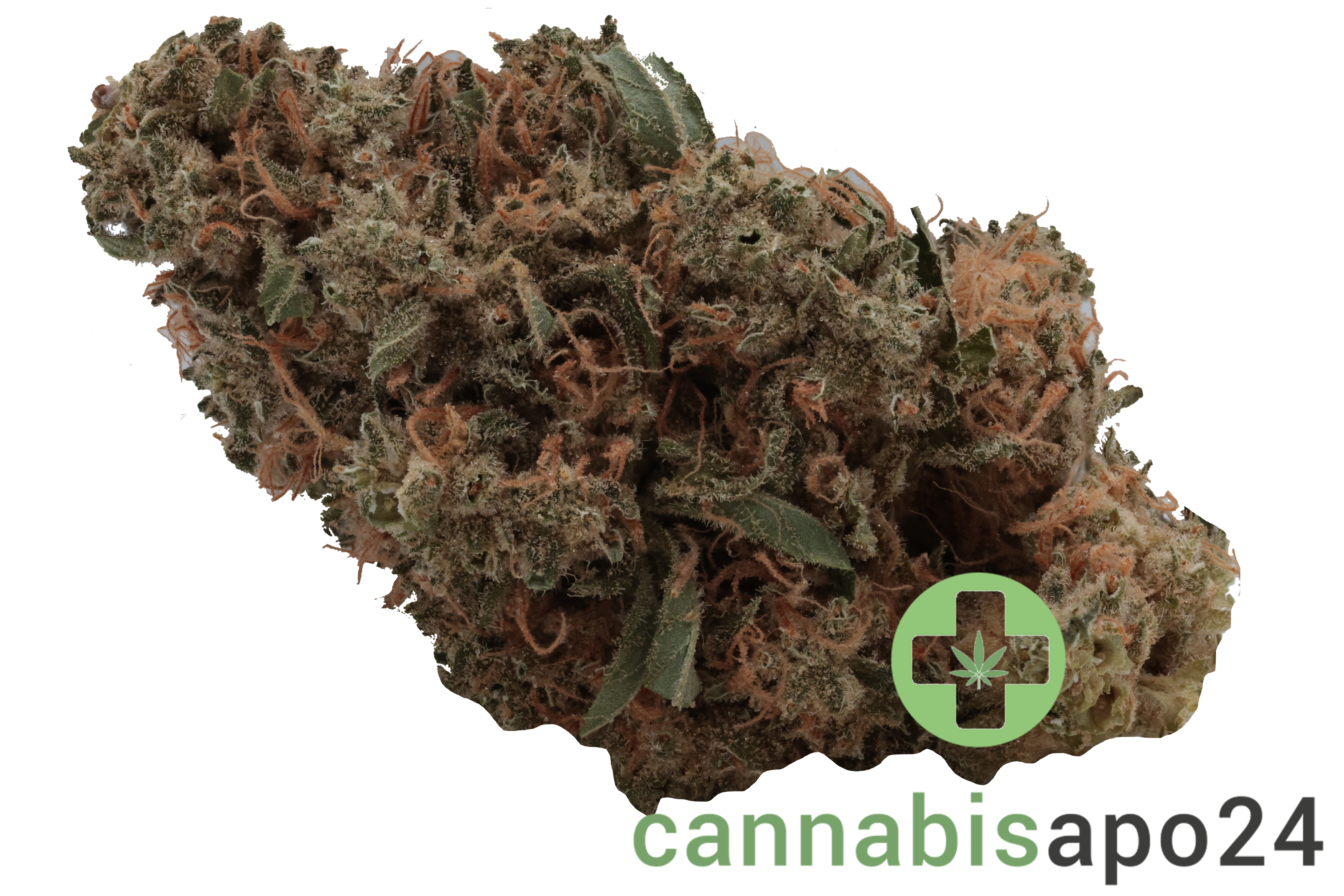 Cannamedical Indica Classic DK Sky Berry Kush