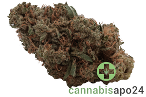 Cannamedical Indica Classic DK Sky Berry Kush