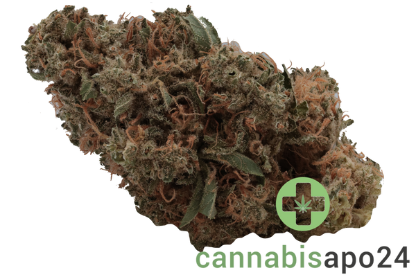 Cannamedical Indica Classic DK Sky Berry Kush