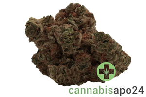 Cannamedical Indica Forte SM Sunset Serenity