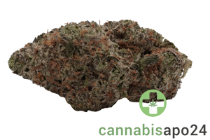 Cannamedical Indica ultra AU La Kush Cake