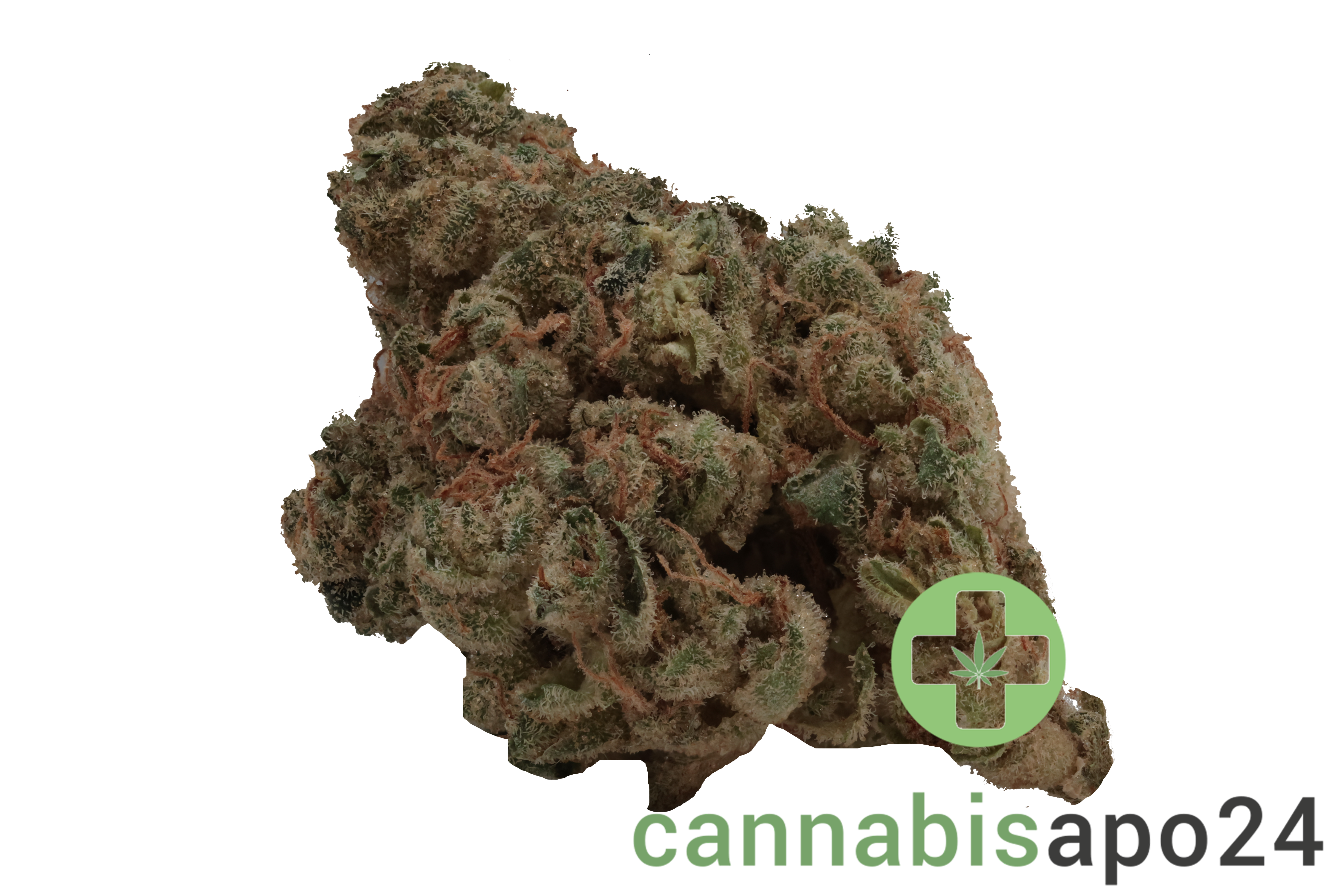 Cannamedical Indica ultra BC Grape Pie