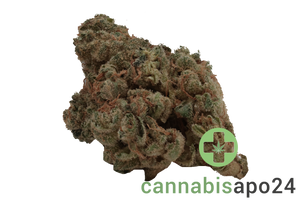 Cannamedical Indica ultra BC Grape Pie
