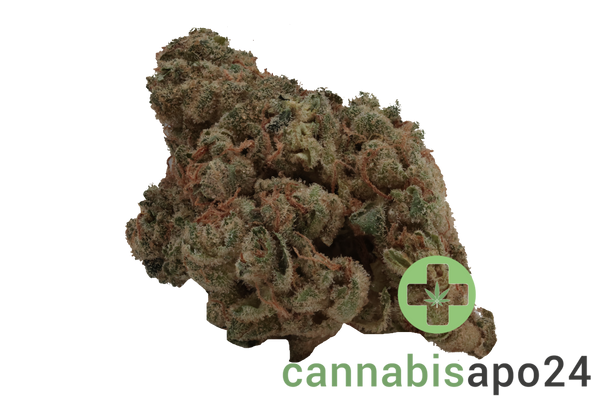 Cannamedical Indica ultra BC Grape Pie