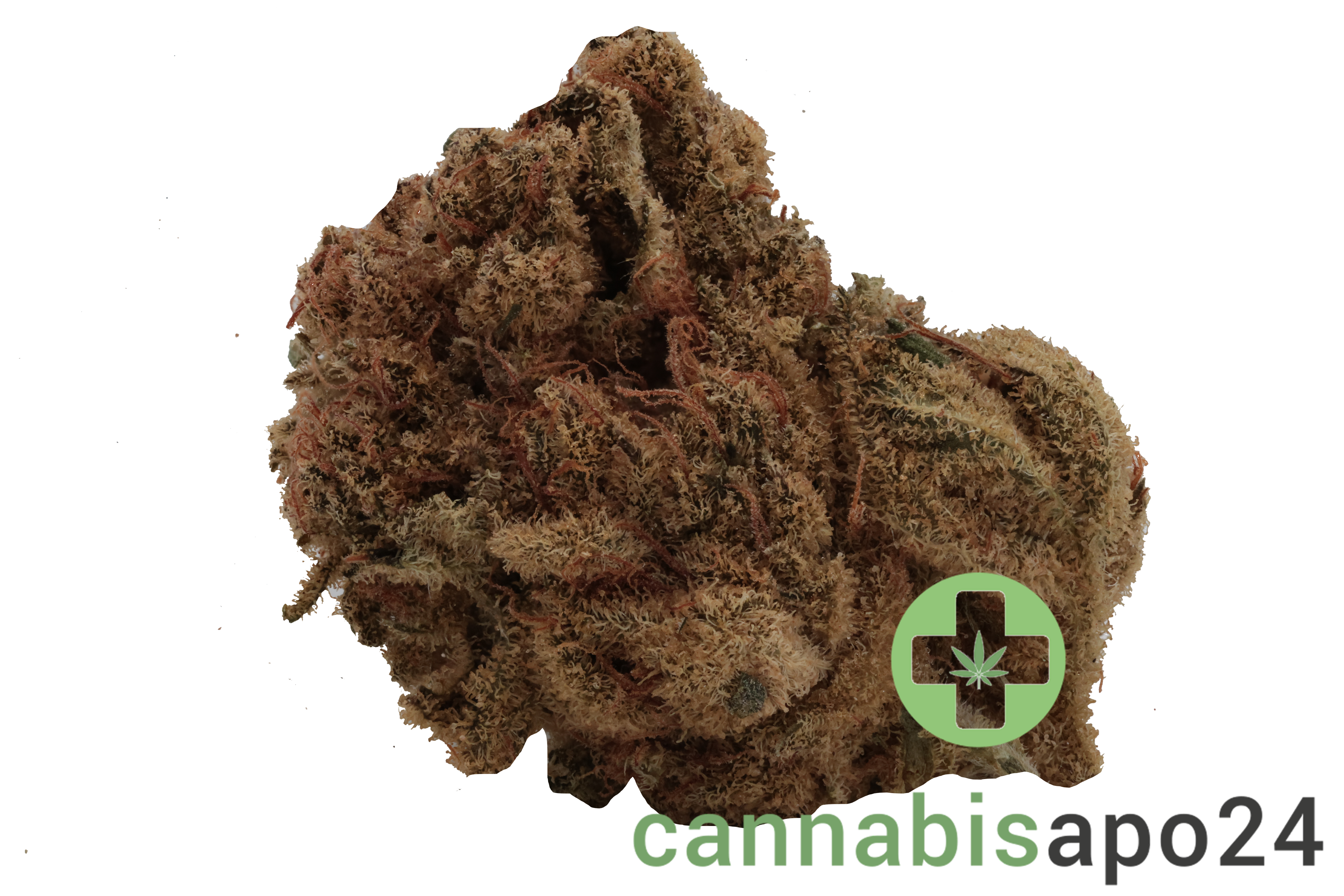 Cannamedical Sativa forte ES Banjo