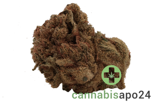 Cannamedical Sativa forte ES Banjo