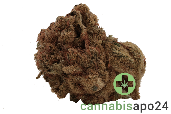 Cannamedical Sativa forte ES Banjo