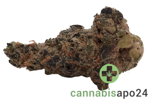 Cirrus Indica 5 27/1 Space Cake