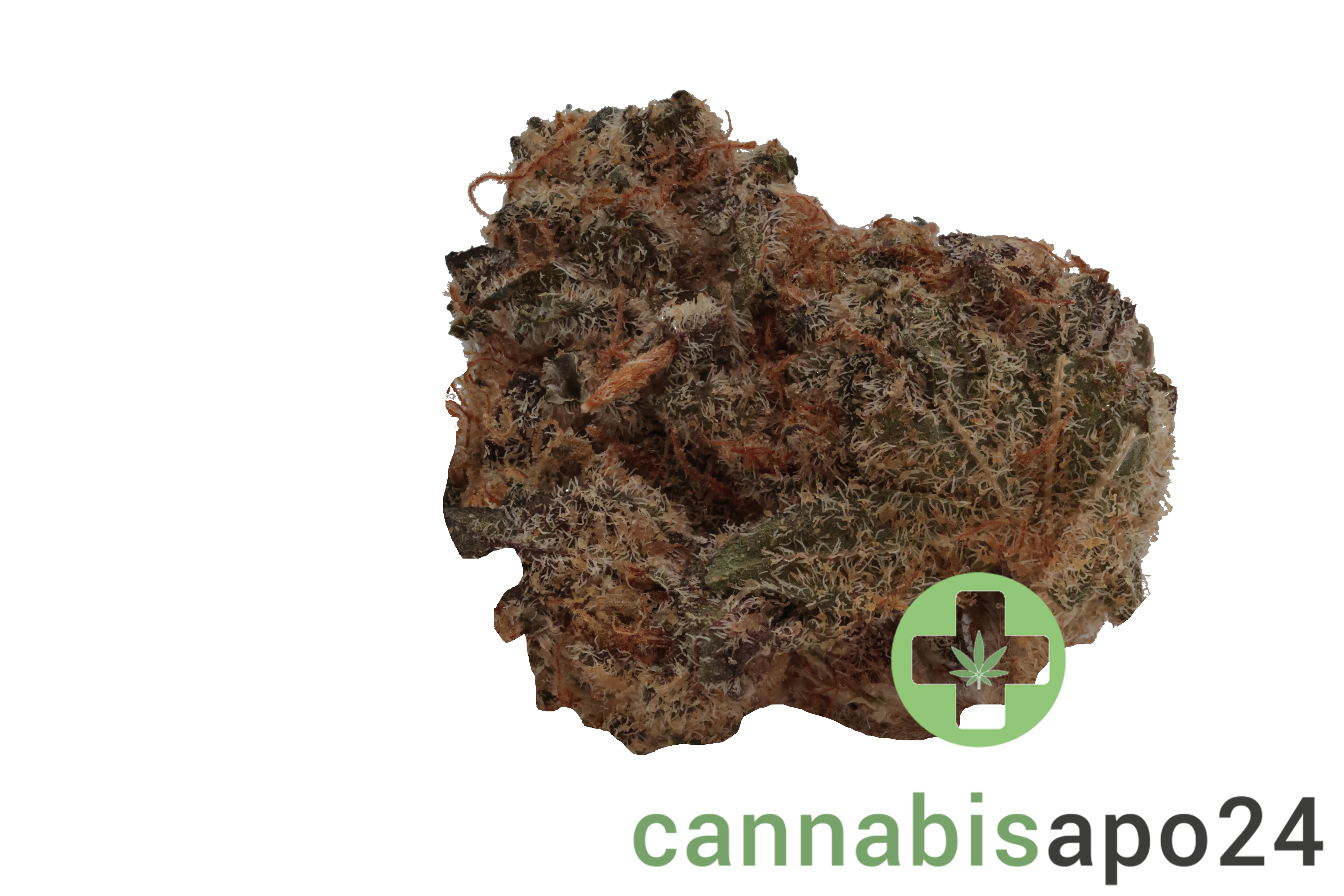 Cirrus Platinum Hybrid 27/1 Platinum Oranges