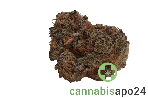 Cirrus Platinum Hybrid 27/1 Platinum Oranges