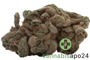 canymed BC 28/1 Diesel Crisp